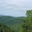 78563,20548.jpg - Primorye24.Ru