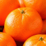 287cf00c79fbbe07ff817d175a342171bd847a77.jpeg - Primorye24.Ru
