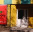 1200d1bfbaa76d60ed32b7704d69ebb3802c88c3.jpeg - Primorye24.Ru