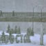 63b60fd9c15cd1e81465a26579dfc624e9550ce1.jpeg - Primorye24.Ru