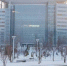 70374042fe135eec78f4c9edc079782858f5f567.jpeg - Primorye24.Ru