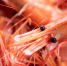 cbebc9471b3f57e856d531183ea3ea226eb4890a.jpeg - Primorye24.Ru