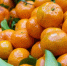 c7c78d00af79d6bb00ecb16dc9db5553141d6c9a.jpeg - Primorye24.Ru