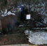 af11249fbf08a0119fd20eb375a79566c3a8c5ec.jpeg - Primorye24.Ru