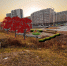 55767D75-A4B8-48AF-A6BB-CEC65A0924C9.JPEG - Администрация г. Владивостока