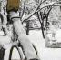 5dbacb18f577a3d794f79b7cb84097aecff15fee.jpeg - Primorye24.Ru