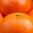 3f5d5ddd4a867a131147af5168a17c9baee1afe3.jpeg - Primorye24.Ru