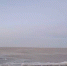 b30f14136a2de1e01d2fe84dfd1b4ca41fa89fc5.jpeg - Primorye24.Ru