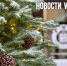 Сегодня во Владивостоке ветрено и до -8 °С - NewsVl.Ru