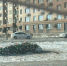 Новогодняя елка снова упала во Владивостоке - ГТРК Владивосток