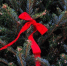 0014666ebc9ae5d0cc44e818cbda0edb6e9a26ca.jpeg - Primorye24.Ru