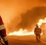 2f9af86d261ceccf95cc541727904ea68cc6f9cf.jpeg - Primorye24.Ru