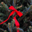 51d7db12e92f70d94c84855d8be1a6ccc1f207d3.jpeg - Primorye24.Ru