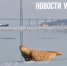 Во Владивостоке сегодня умеренный южный ветер и до -8 °С - NewsVl.Ru