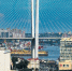 46e59dbbd77c65167ab88b48f6526c73622c7007.jpeg - Primorye24.Ru