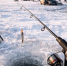 f8ad4b147be4f4b94ad0bc4e0668b4ea9b888b61.jpeg - Primorye24.Ru
