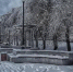 9a75de2938ac4c11f7410ea891fffb5570160a84.jpeg - Primorye24.Ru