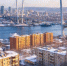 0be8a77b7e9625e6800ea0a1cc278c5cbe71dfcc.jpeg - Primorye24.Ru