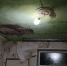 Фото: скриншот @horrorfind | Кипяток в Находке: теплоэнергетики не поверили в горячую воду, расплавившую трубы в домах - PrimPress.Ru