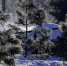 fcb313d2a80beca9693aac265f07679810b6e652.jpeg - Primorye24.Ru