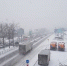 ea4ca972b65c882a54a4e8af8933560a85118de4.jpeg - Primorye24.Ru