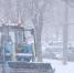 50e9c37a82631d6dcae5db82f3c8561f8d159654.jpeg - Primorye24.Ru
