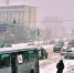 82a2c5899978e1a59da299a3ae9d7bc5efcda8bd.jpeg - Primorye24.Ru