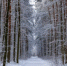 d20da542075fa02c9f0f65d7469aa97ffd47aa40.jpeg - Primorye24.Ru