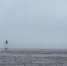 28bc176444b64639b8af2dcdf4ee3a84f0a4f354.jpeg - Primorye24.Ru