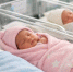 2fc084d32cd72853f6cec0fd92e998dfa22c5ce0.jpeg - Primorye24.Ru
