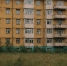 9ec2d2cecae9287c198eef5667d967e0792c6b42.jpeg - Primorye24.Ru