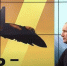 Трамп пугает Европу «силовым захватом» Гренландии - ГТРК Владивосток