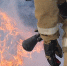 77bb93b3066dcce0a79b603899a55a08387276fd.jpeg - Primorye24.Ru