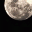 25d9c68e84fff291deb3c9eb57d45a09b9e5586b.jpeg - Primorye24.Ru