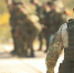 7e4d67c519993407cb8560cd4607ec8cda07a92d.jpeg - Primorye24.Ru