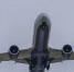 2419aadb1df7c779c2d3605c94541a77aa3cf556.jpeg - Primorye24.Ru