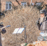 4d12a252687998296b82b096d845b8ca75e9051e.jpeg - Primorye24.Ru