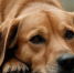 a066abdb656c5162e45d57120c5fd4f498e5db31.jpeg - Primorye24.Ru