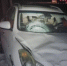 e01d5bf7d42464d3ebc65f7374dc818d5f75306f.png - Primorye24.Ru