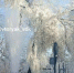 6e8302ead47a766fd52ff704c4eacd7d49fed41d.jpeg - Primorye24.Ru