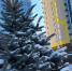 a204d8a05fb5218afd64a5dbcf3c9cf8982bf94a.jpeg - Primorye24.Ru