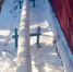 034835e324dc89f6b015b14bf52a69c0f0d16350.jpeg - Primorye24.Ru