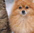 2f5cd3be0d5948150f6a446cac47d44676a4b3a1.jpeg - Primorye24.Ru