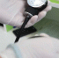 acbddc6e33022fcd2c974bc3a5397f12c068adcc.jpeg - Primorye24.Ru