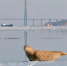 Сегодня во Владивостоке до -6 °C - NewsVl.Ru