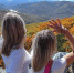 249jc9tuauc75wpn4ruhqh42cfshn6ut.jpg - Primorye24.Ru