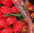 bedb4619_83c0_4d9d_8ac0_195adbc3d4e9.jpg - Primorye24.Ru