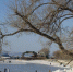 thumb_560005_news_xxxl.jpeg - Primorye24.Ru