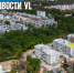 Три гектара леса на Садгороде хотят отдать под жилую застройку за 26 млн рублей - NewsVl.Ru