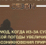 В Приморье стартовал пожароопасный сезон - МЧС по Приморскому краю